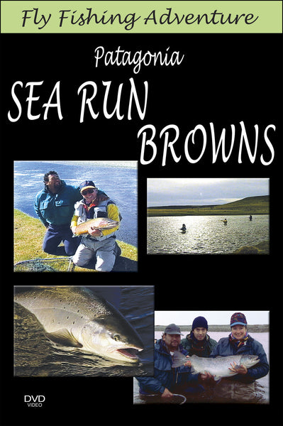 Patagonia's Sea Run Browns