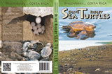 Disc Am Olive Ridley Sea Turtles cover