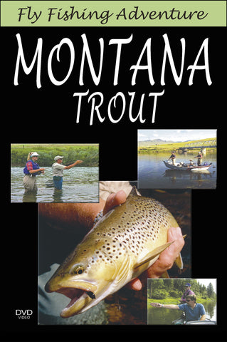 Fly Fishing Adventure