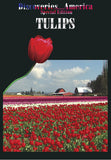 Discoveries America Special Edition Tulips focuses on everything about tulips- how they grow, the people that grow them, and the varieties they come in.