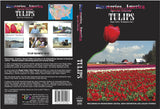 Discoveries America Special Edition Tulips