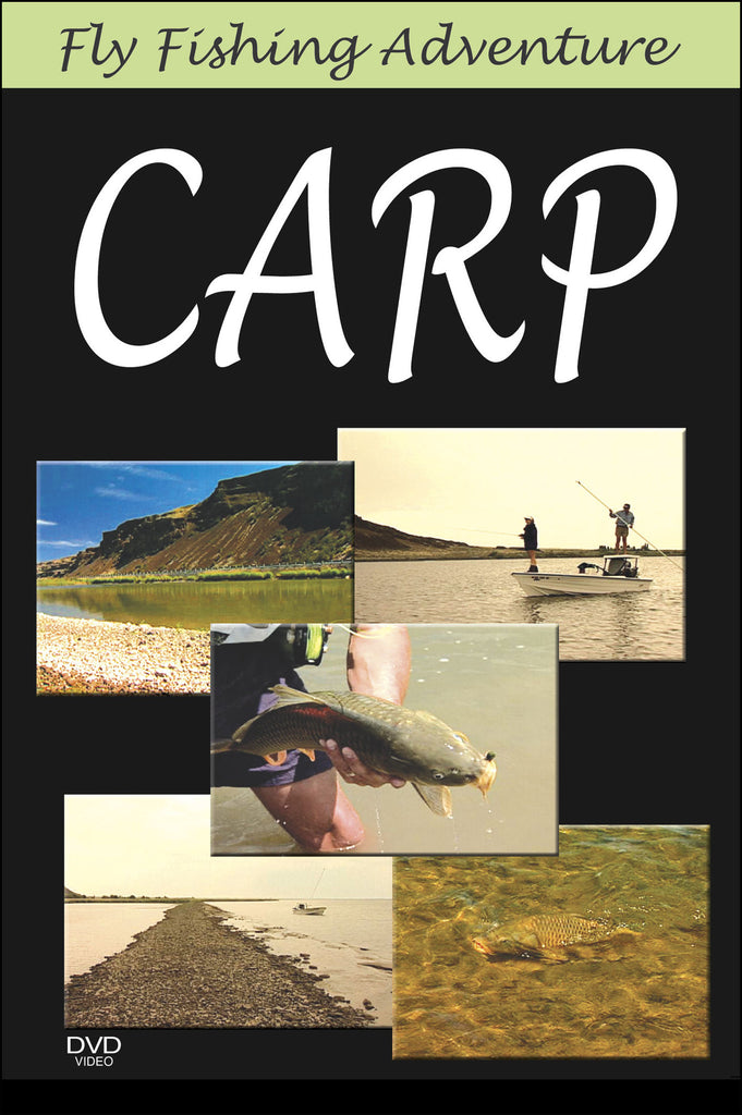 Fly Fishing Adventure: Carp