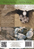 Disc Am Olive Ridley Sea Turtles back cover