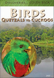 Discoveries Costa Rica: Birds - Quetzals to Cuckoos