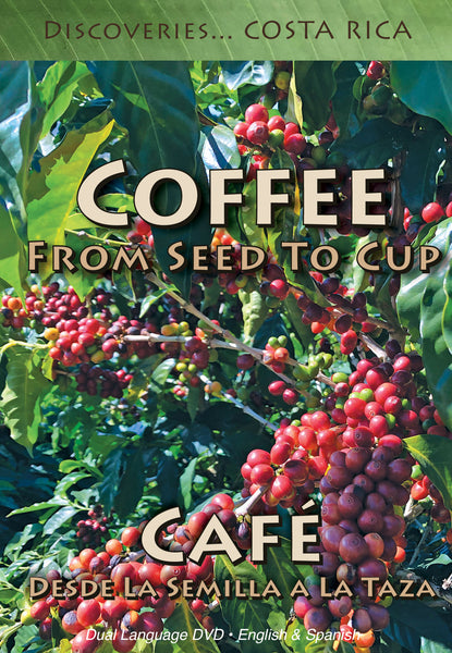 Discoveries Costa Rica: Coffee, From Seed To Cup / Café, Desde La Semilla A La Taza