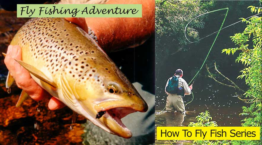 Fly Fishing Adventure / How To Fly Fish